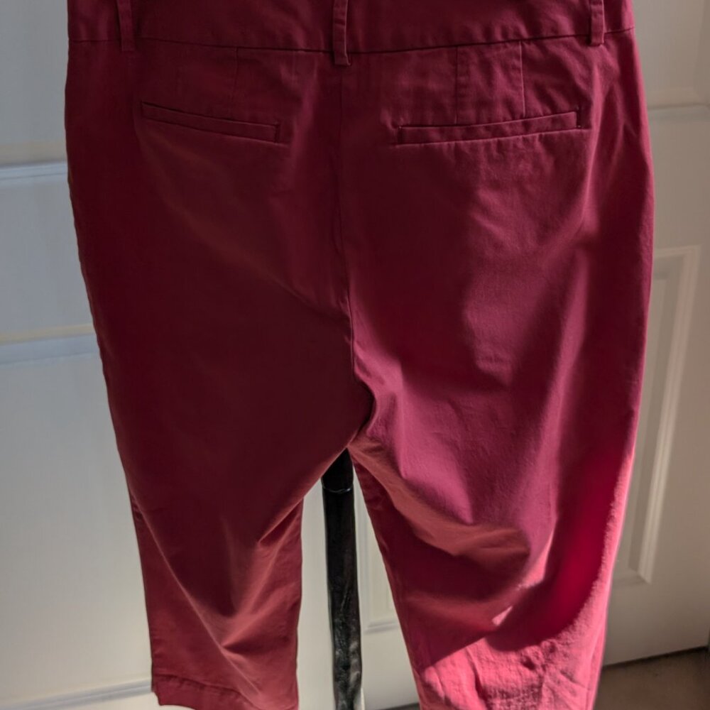 Loft Capri Pants - Picture 2 of 7